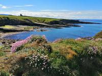 Donegal,Irland (11)