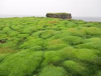 Downpatrick Head
