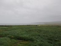 Downpatrick Head