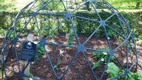 Drogen im Giftgarten von Blarney Castle