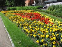 Dublin