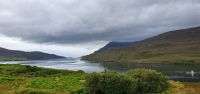 Fahrt durch den Connemara Nationalpark 