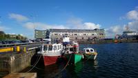 Galway (8)