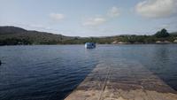 Garinish Island (13)