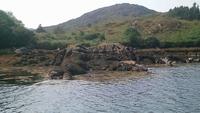 Garinish Island (16)