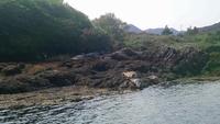 Garinish Island (18)
