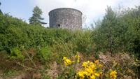Garinish Island (6)