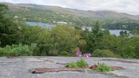 Garinish Island (7)