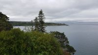 Garinish Island