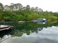 Garinish Island