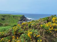 Giants Causeway