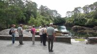 Glengarriff