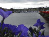 Hafen in Kinsale