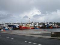Hafen von Killigegs