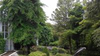 Hotel in Ballina