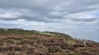 Howth Cliff Trail