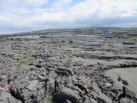 Im Burren