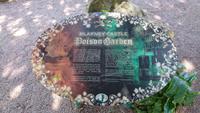 Im Giftgarten von Blarney Castle