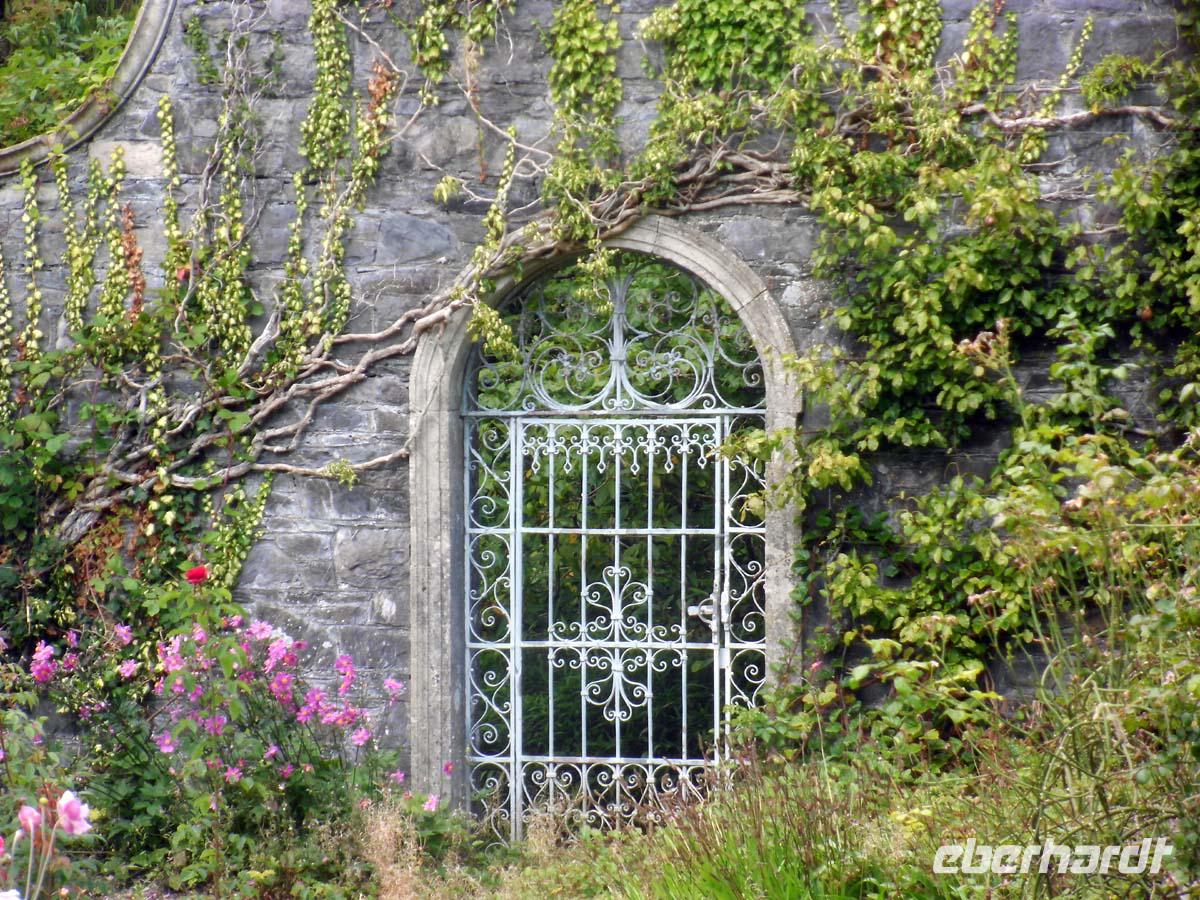 Im walled Garden auf Ilnacullin