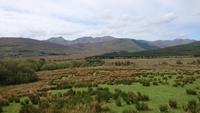 In Connemara