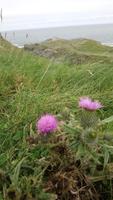 InishowenC donegal (11)