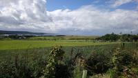 Irland