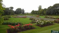 Kilkenny