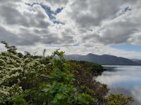 Killarney NP Ross Island