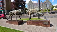 Killarney-Hirsche