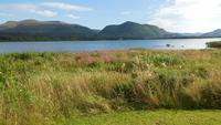 Killarney
