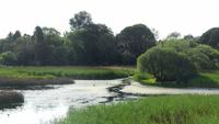 Killarney