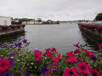 Kinsale
