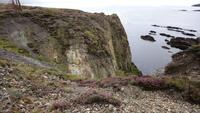 Kupfermine, Irland