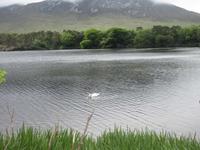 Kylemore Abbey 4