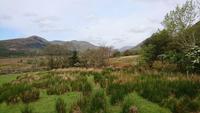 Landschaft in Connemara