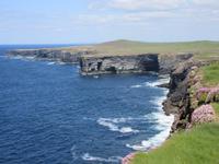 Loop Head
