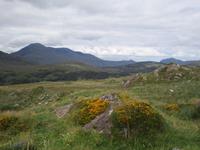 Molls Gap
