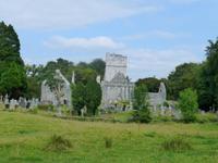 Muckross Abbey
