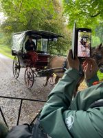 Muckross Garden