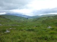 Old Kenmare Road