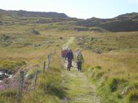Old Kenmare Road