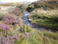 Old Kenmare Road
