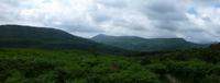 Old Kenmare Road