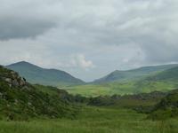 Old Kenmare Road
