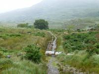 Old Kenmare Road