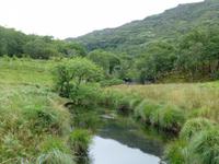 Old Kenmare Road