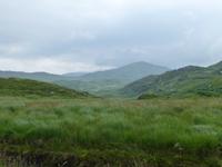 Old Kenmare Road