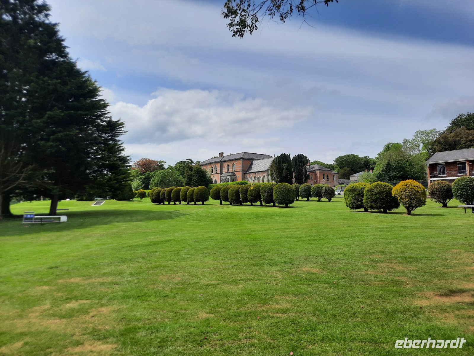 Pitch & Putt