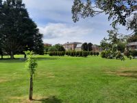 Pitch & Putt