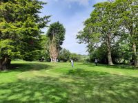 Pitch & Putt